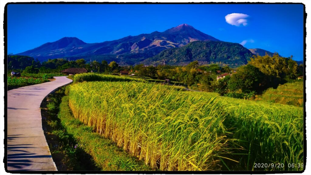 Ngabuburit-di-selotapak-trawas7.j