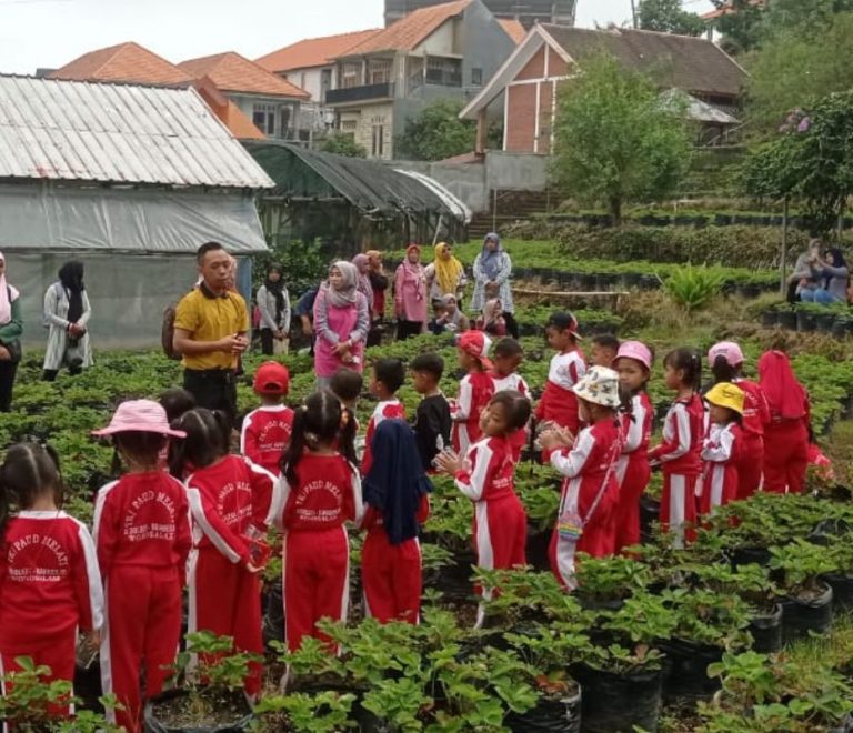Outbound Edukasi Anak
