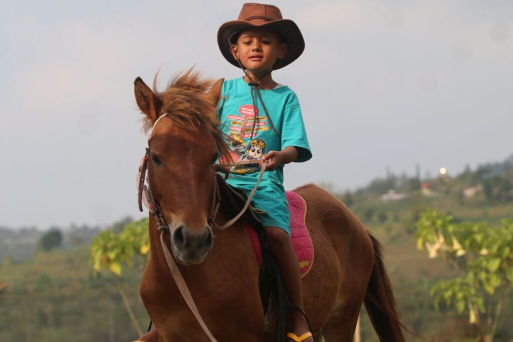 riding horse pacet